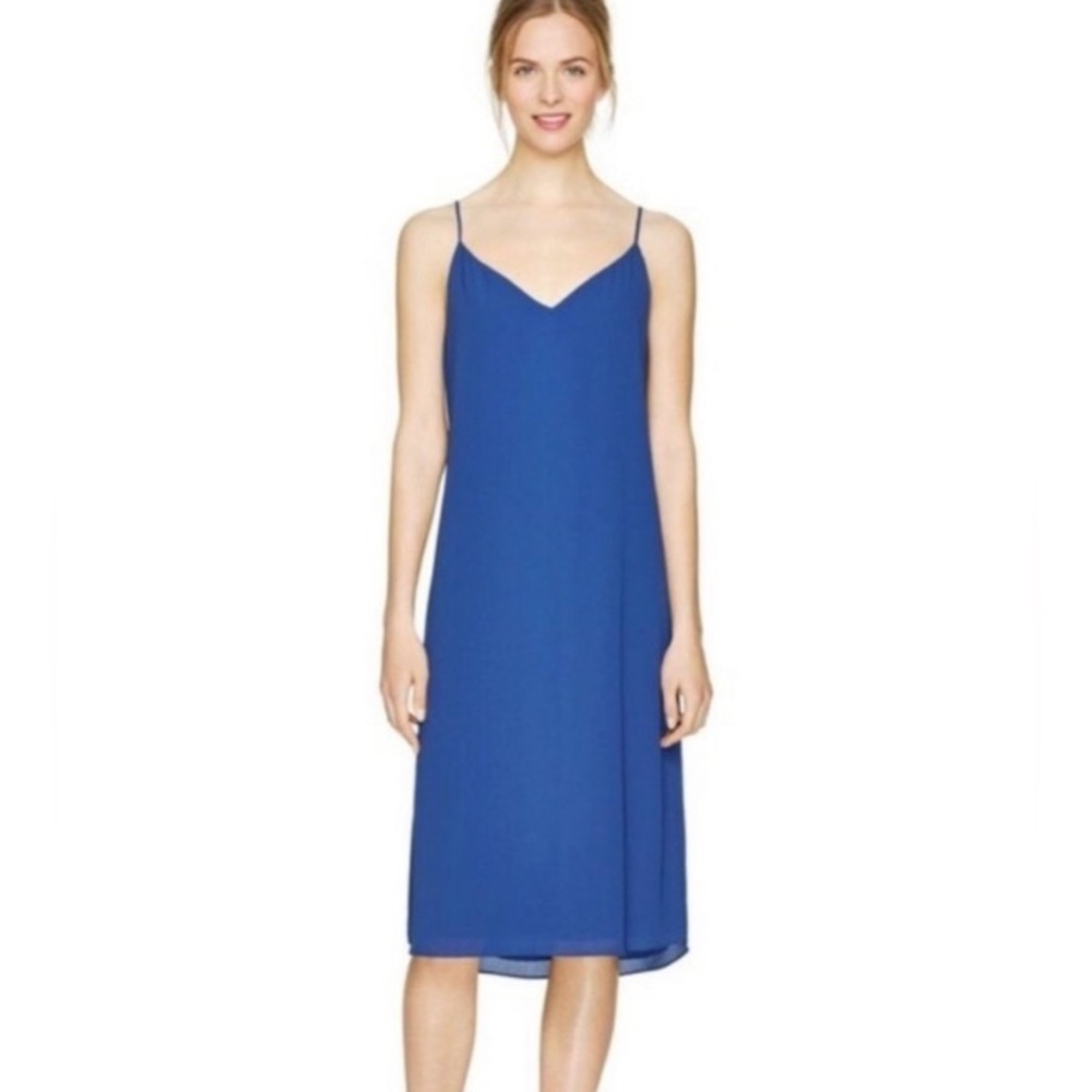 Aritzia Babaton Templeton Slip Dress